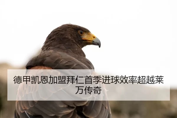 de-jia-kai-en-jia-meng-bai-ren-shou-ji-jin-qiu-xiao-lv-chao-yue-lai-wan-chuan-qi-2-228.jpg