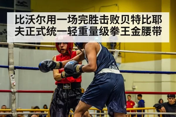 比沃尔用一场完胜击败贝特比耶夫正式统一轻重量级拳王金腰带
